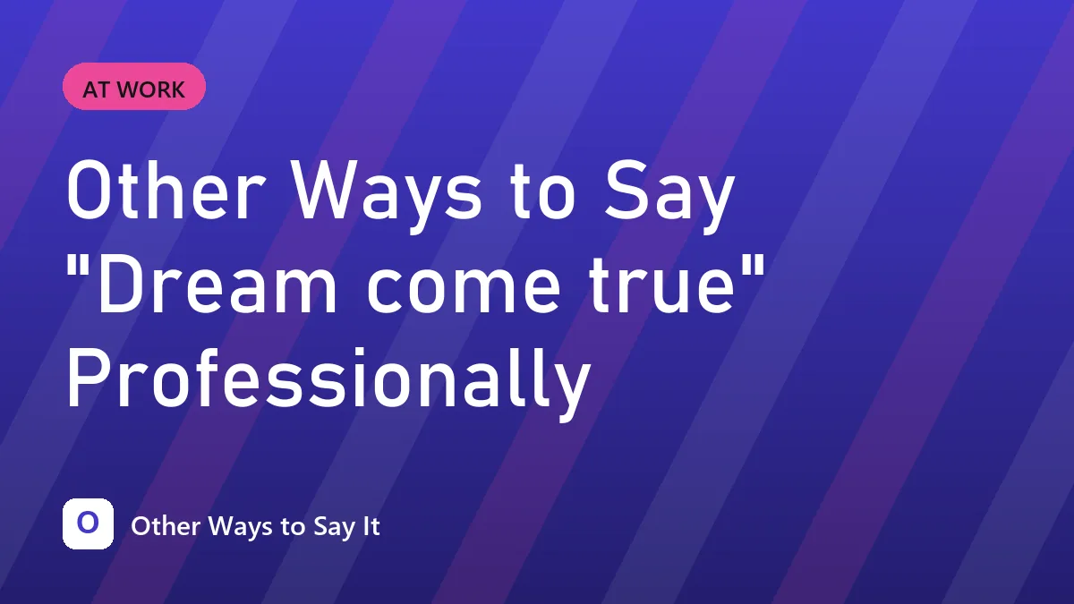 Other Ways to Say "Dream come true" Professionally